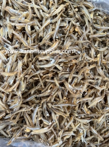 WhatsApp Image 2022-02-19 at 13.34.43